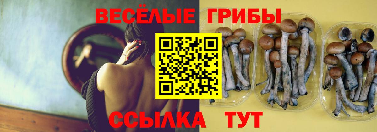 Галлюциногенные грибы мицелий  Вход с VPN  Артём 
